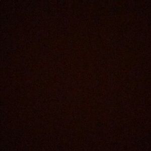 Meet your Posher, Savannah